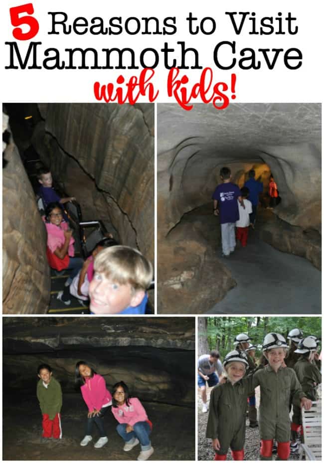 Mammoth Cave National Park is the world's longest cave system- and makes for a fantastic family road trip destination! Here are 5 reasons to visit Mammoth Cave with kids!