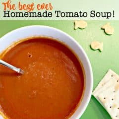 Are you obsessed with the creamy tomato soup at Panera Bread? Because this recipe for delicious homemade tomato soup is heaven in a bowl- and tastes exactly like Panera's!