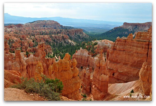 Utah is packed with incredible National Parks- Zion, Arches, Canyonlands, Capitol Reef- to our favorite Bryce! And don't miss the chance to hike a slot canyon with your kids- an amazing experience that they will love! 
