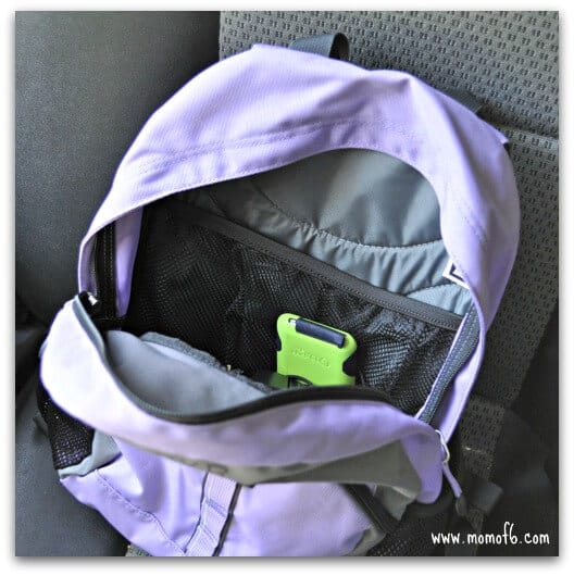 backpacks to organize the inside of a car for a road trip