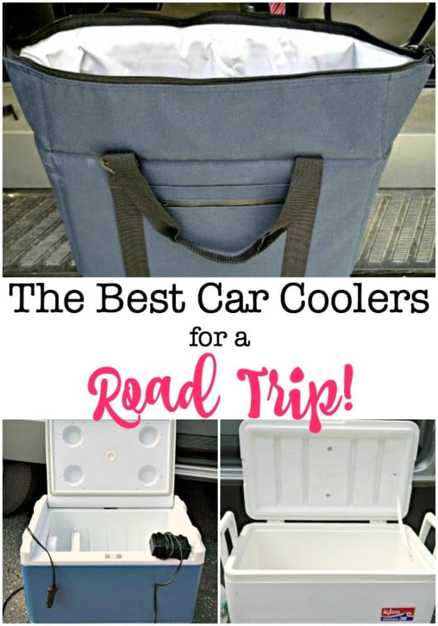 The Best Car Coolers for a Family Road Trip! MomOf6