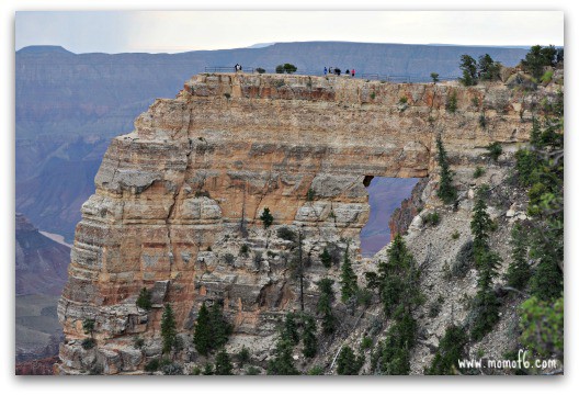 I always lean towards choosing a lesser populated spot at a major vacation destination. I think it’s harder to experience a place when you are fighting for elbow room at a lookout point, which is why the Grand Canyon North Rim appealed to me. This post shares our amazing experience here- and shares why this should be on very family bucket list!