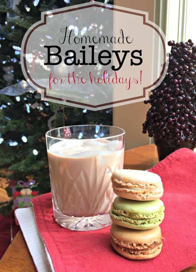 Here's a great new holiday tradition (for grown ups only, of course!). Whip up some homemade Baileys to sip while decorating the tree! Serve it over ice or even over scoops of ice cream! 