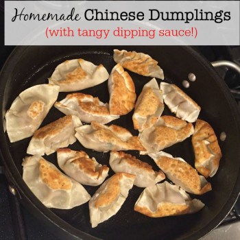 I originally learned how to make these homemade Chinese dumplings when I took a workshop at a Lunar New Year Party we attended as a family. The ladies that taught the class were amazing- and were kind enough to share their recipe and teach me their technique! Trust me- these will be the best dumplings you've ever tasted!