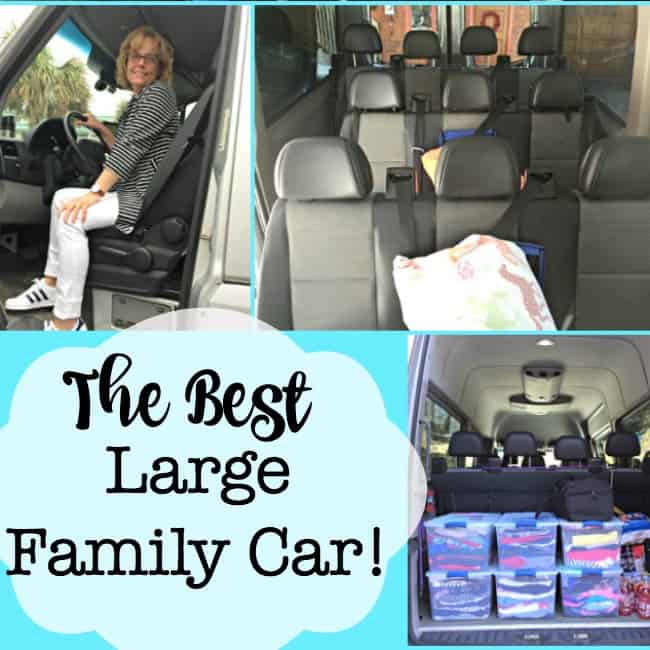 The Best Large Family Car (When You Have 6 Kids!) - MomOf6