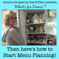 Menu planning is the best tool for busy Moms- take a few minutes once a week to plan all of your meals and you'll know what you need to buy at the store, what should be defrosted in the morning, and whether you need to do any dinner pre during the day. And the best part of all is that the 5pm hour seems a heck of a lot calmer because you are just executing a prepared plan vs trying to think of one!