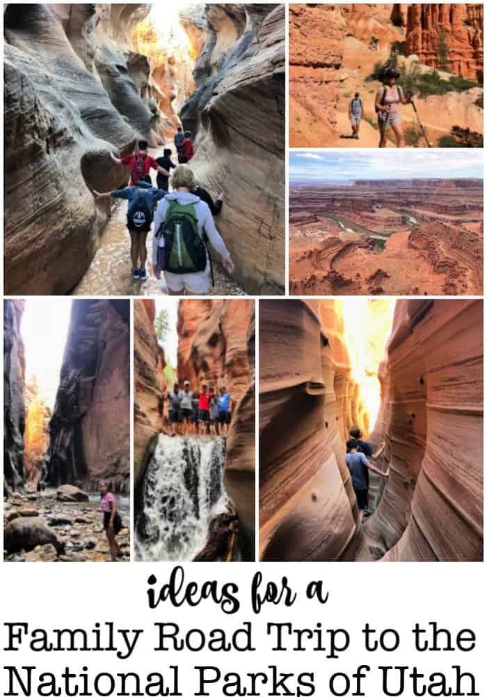 Last summer our family took an amazing family road trip to the incredible National Parks of Utah- and we were blown away by the beauty, the diversity of the landscape, and the hiking opportunities! In this post I'll share how we visited 5 National Parks in one week-long vacation- what we saw, and some cool things that you won’t want to miss! 